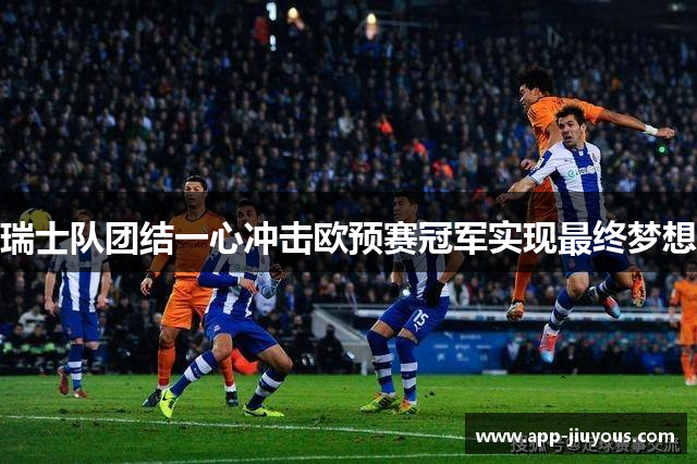 瑞士队团结一心冲击欧预赛冠军实现最终梦想