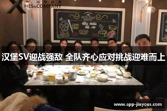 汉堡SV迎战强敌 全队齐心应对挑战迎难而上
