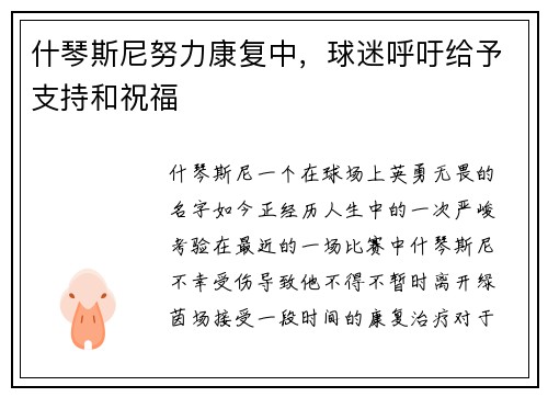 什琴斯尼努力康复中，球迷呼吁给予支持和祝福