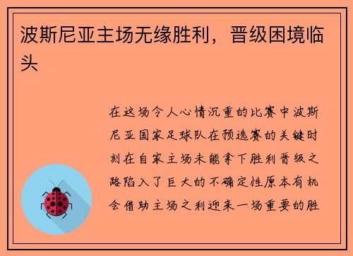 波斯尼亚主场无缘胜利，晋级困境临头