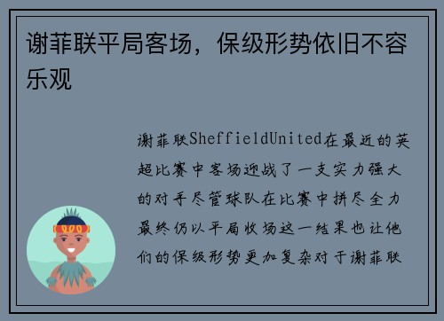 谢菲联平局客场，保级形势依旧不容乐观