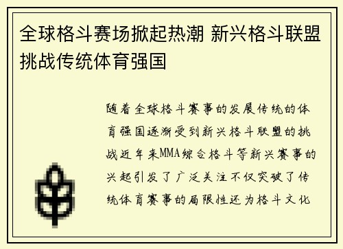 全球格斗赛场掀起热潮 新兴格斗联盟挑战传统体育强国